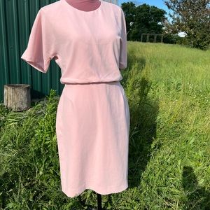 Banana Republic Pink Shift Dress